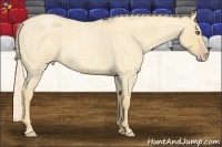 Horse Color:Gold Cream Champagne Roan Dun 
