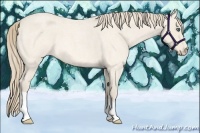 Horse Color:Perlino Roan