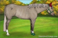 Horse Color:Silver Grullo Rabicano 