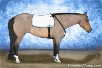 Horse Color:Buckskin Roan 
