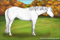 Horse Color:Gray Smoky Creme Splash Tobiano