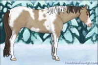 Horse Color:Classic Cream Champagne Tobiano Frame Rabicano