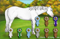 Horse Color:Gray Amber Cream Champagne Dun Splash 