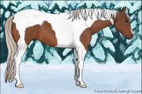 Horse Color:Silver Bay Tobiano