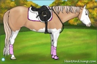 Horse Color:Gold Champagne Splash 