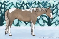 Horse Color:Silver Grullo Splash Tobiano