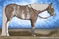 Horse Color:White Spotted Silver Black Frame Rabicano