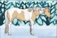 Horse Color:Silver Buckskin Dun Tobiano 