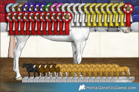 Horse Color:Classic Champagne Splash Tobiano Varnish 
