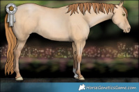 Horse Color:Bay Pearl Dun 