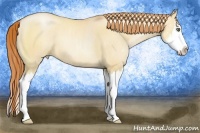 Horse Color:Amber Champagne Pearl Dun Sabino Splash Rabicano