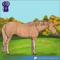 Horse Color:Silver Black Pearl Splash Tobiano  Brindle