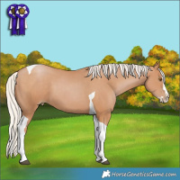 Horse Color:Silver Black Pearl Splash Tobiano  Brindle