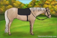 Horse Color:Silver Black Pearl 
