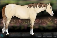 Horse Color:Bay Pearl Dun Splash 