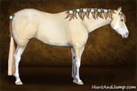 Horse Color:Amber Champagne Pearl Dun Splash Frame