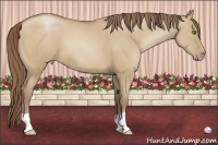 Horse Color:Grullo Pearl 