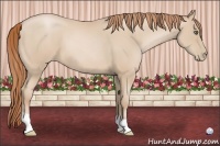 Horse Color:Smoky Black Pearl 