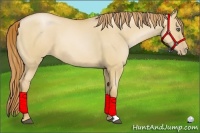 Horse Color:Red Dun Pearl 