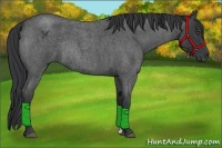 Horse Color:Blue Roan Rabicano