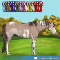 Horse Color:Classic Champagne Sabino Tobiano  Brindle