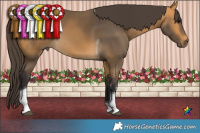 Horse Color:Buckskin Sabino Tobiano  Brindle