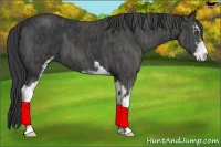 Horse Color:Black Sabino Brindle