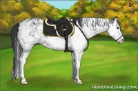Horse Color:Black Sabino Splash  Brindle