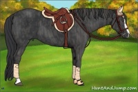 Horse Color:Black Sabino  Brindle