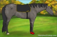 Horse Color:Grullo Sabino  Brindle