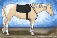 Horse Color:Silver Classic Cream Champagne Tobiano Brindle