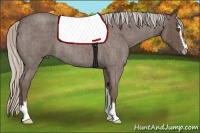 Horse Color:Silver Blue Roan Sabino  Brindle