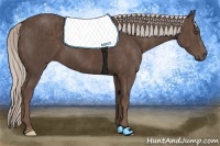 Horse Color:Silver Black Sabino  Brindle