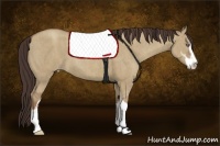 Horse Color:Classic Champagne Roan Dun Sabino  Brindle