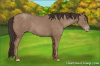 Horse Color:Classic Champagne  Brindle