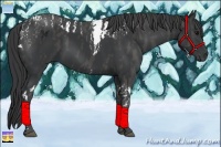 Horse Color:Black Tobiano  Brindle