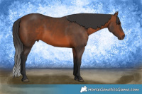 Horse Color:Brown  Brindle