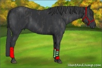 Horse Color:Black  Brindle