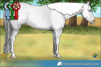 Horse Color:Black Sabino Frame Brindle