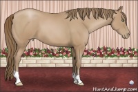 Horse Color:Black Pearl 