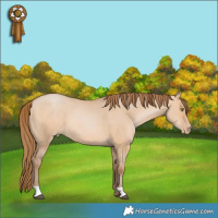 Horse Color:Brown Pearl Dun 