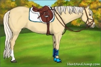 Horse Color:Palomino Dun Sabino