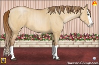 Horse Color:Bay Pearl Dun Splash Brindle