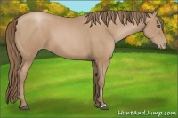 Horse Color:Black Pearl  Brindle