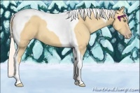 Horse Color:Silver Amber Cream Champagne Tobiano 