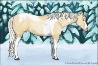 Horse Color:Silver Bay Pearl Dun Splash Tobiano 