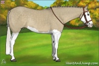Horse Color:Silver Smoky Grullo Splash Rabicano