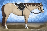 Horse Color:Classic Champagne Roan Dun Sabino 