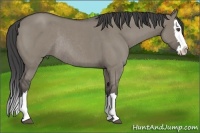 Horse Color:Smoky Grullo Roan Splash Rabicano