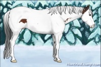 Horse Color:Bay Sabino Splash Tobiano 